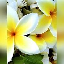 Patricia Ann Werno
