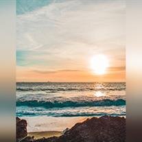 Stephanie Elizabeth Meacham