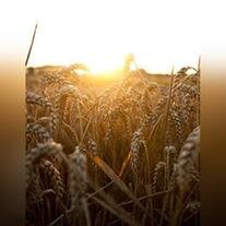 Lensworth Michael Nuttall