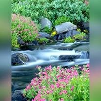 Annabelle Gloria Chester