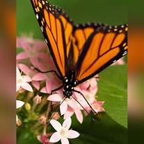 Anita Mae Barracata