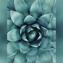 Eileen Margaret Ritter