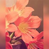 Linda Frazee Baker