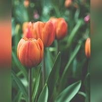 Jeffrey  Wayne Keithley