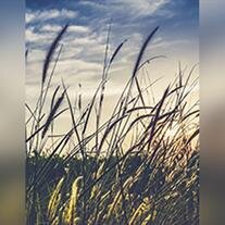 Dana  Maurice Turner