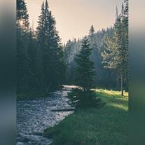 Buddy Kyle Chittum, Sr.