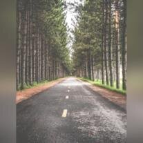 Matthew Steven Rostek, Jr.