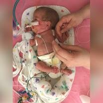 Tallulah Marie Helen Larson