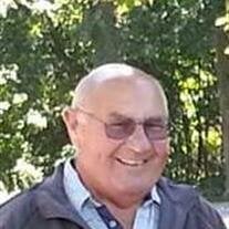 Glen C Williams
