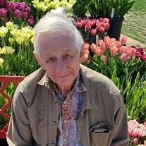 Merle William Miles