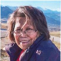 Dolores Ann Lauridsen