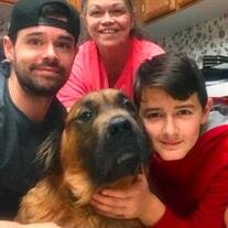 Cujo