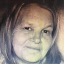 Donna J Collins