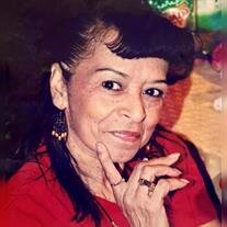 Consuelo (Connie) Fernandez