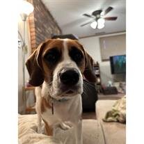 Oakley Samuels
