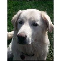 Zena Obit