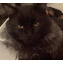 Morpheus Richards