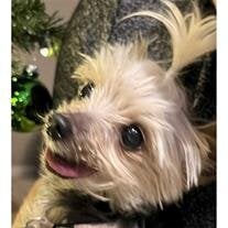 Coco Knerr
