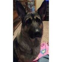 Zoey Greenleaf