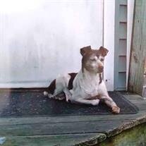 Brownie Gardner