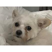 Zoey Kilcoin