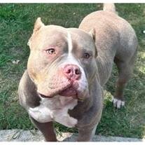 Havoc Wooten