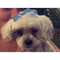 Princess Baker