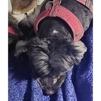 Ellie Mae
