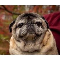 Pugsley Beaudry