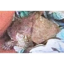 Turkle