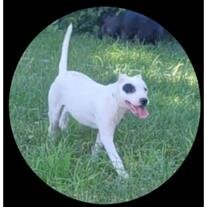 Demeter Riley