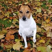 Daisy Hufford