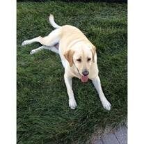 Bailey Seyller
