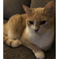 Opie
