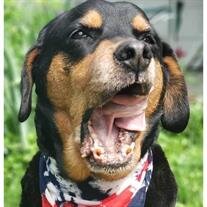 Baxter