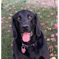 Marley Anderson