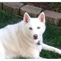 Kylie Hoth