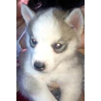 Jack