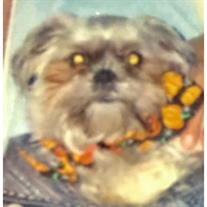 Chewy Gutierrez