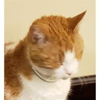 Garfield Johnson