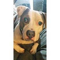Bruiser Baird