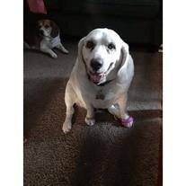Buster1