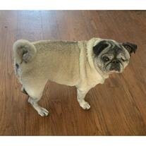Betty