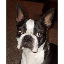 Maggie