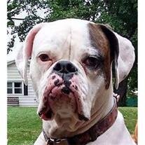 Jethro