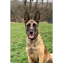 Meeka