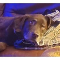 Riley