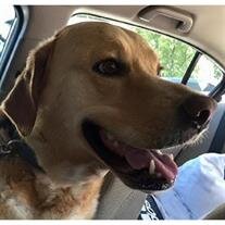 Sid