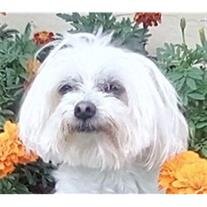 Sami cropped