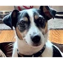 Charlie cropped